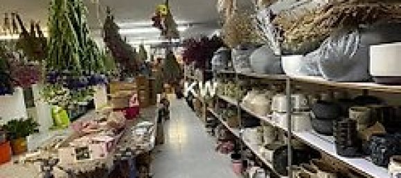 Gewerbliche Immobilie in Porto, Portugal 374m², Nr. 40807 14