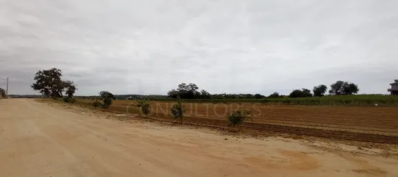 Hotel em Guia, Portugal 100000 m² N.º 10073 3