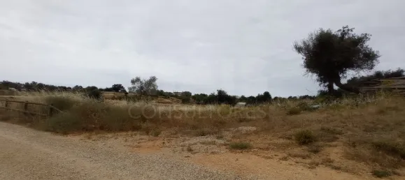 Hotel em Guia, Portugal 100000 m² N.º 10073 5