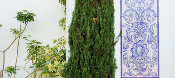 5 غرف نوم فيلا في Malaga, Spain رقم 89232 29