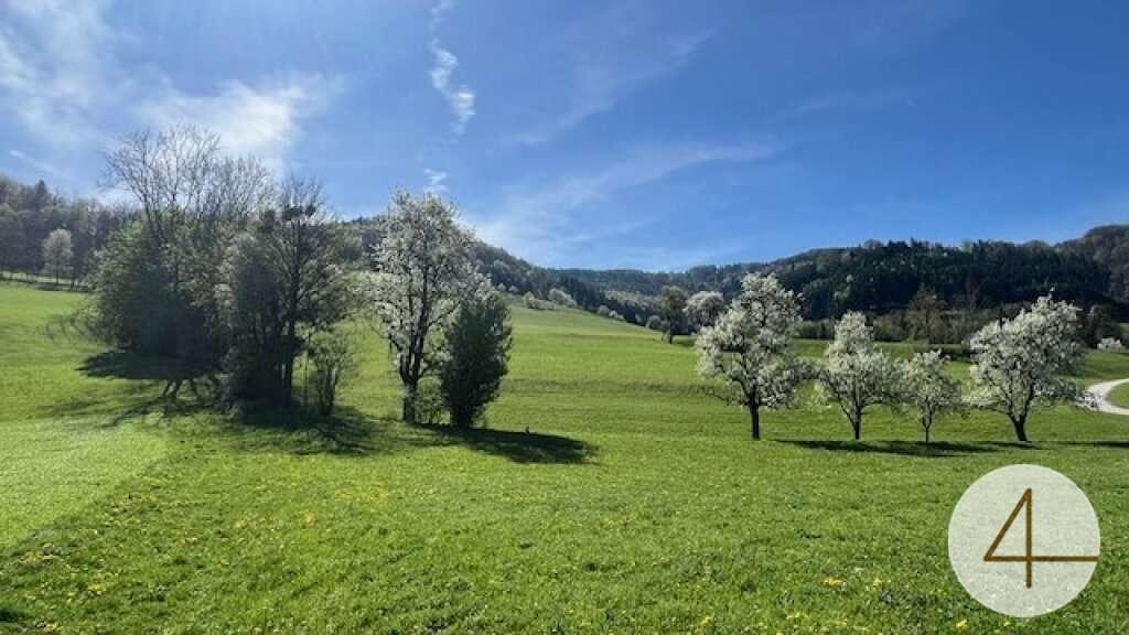 Земельный участок в Рандегг, Австрия № 34935