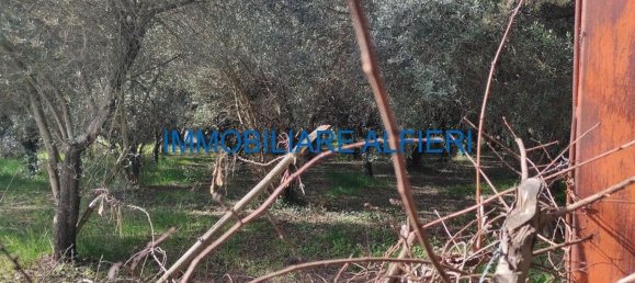 Земельный участок 2600м² в Беневенто, Италия № 126271 12