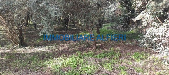 Земельный участок 2600м² в Беневенто, Италия № 126271 13