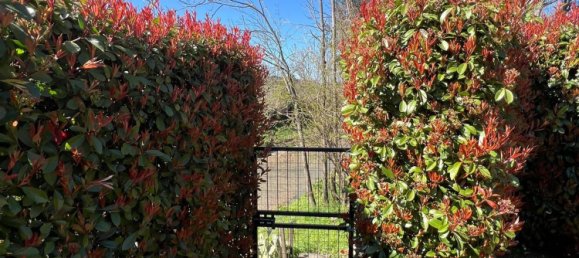 Дуплекс с 4 комнатами в Ластра а Синья, Италия № 51077 17