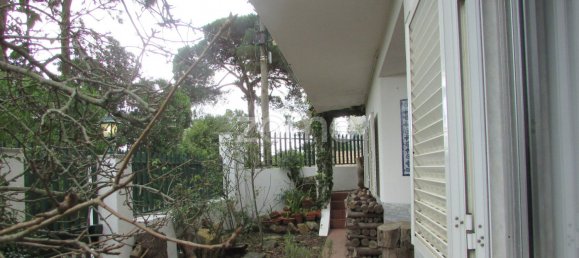 5 chambres Villa à Cascais, Portugal No. 108568 50