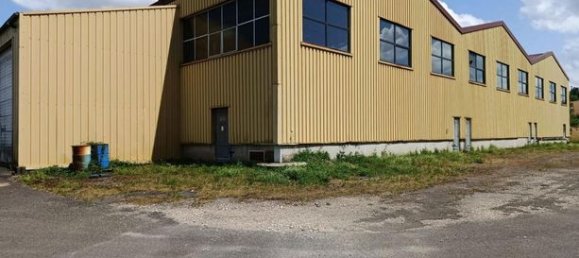 7192m² Commercial property in Etupes, France No. 306284 5