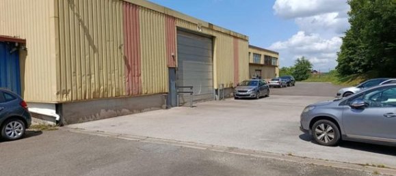 7192m² Commercial property in Etupes, France No. 306284 6
