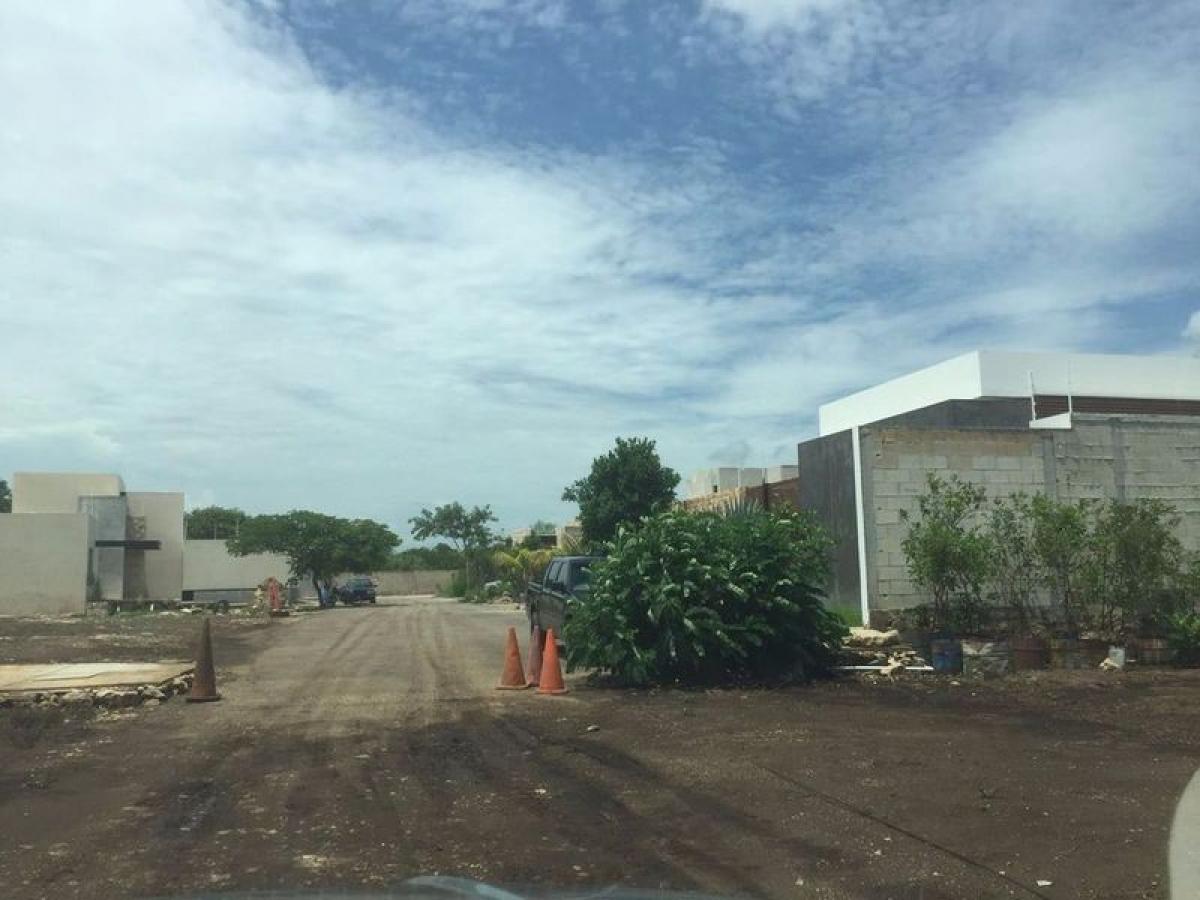  Land in Merida, Mexico No. 113178