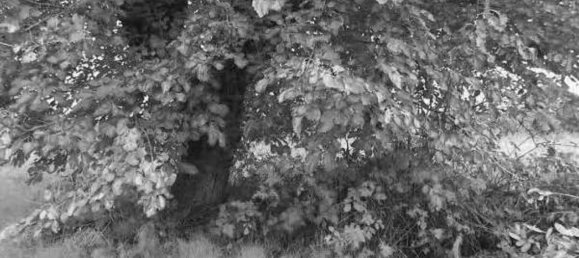 Terreno en Cassola, Italy 5207 m² No. 299516 10