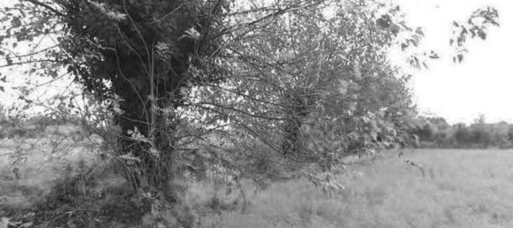 Terreno en Cassola, Italy 5207 m² No. 299516 9