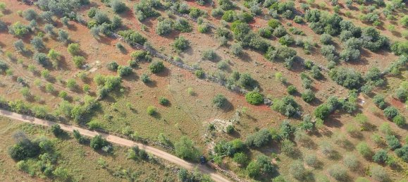 9000m² Land in Sao Bartolomeu de Messines, Portugal No. 38945 5