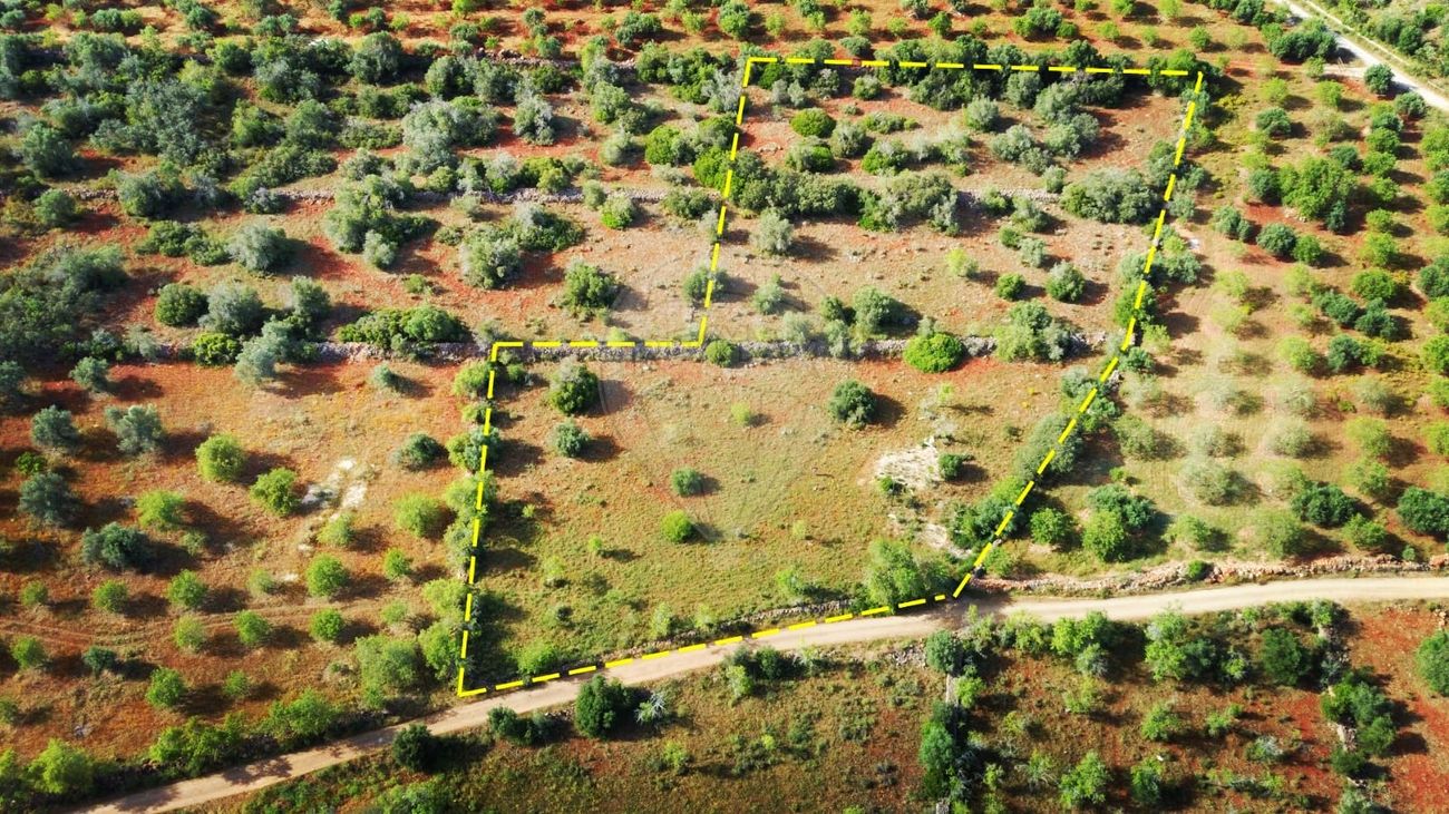 9000m² Land in Sao Bartolomeu de Messines, Portugal No. 38945