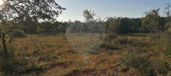 9000m² Land in Sao Bartolomeu de Messines, Portugal No. 38945 2