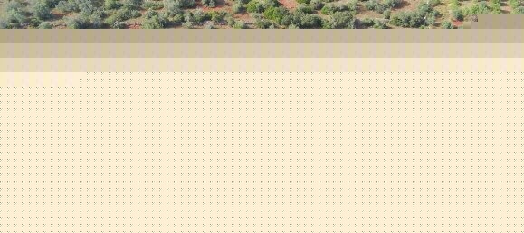 9000m² Land in Sao Bartolomeu de Messines, Portugal No. 38945 7