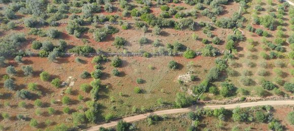 9000m² Land in Sao Bartolomeu de Messines, Portugal No. 38945 6