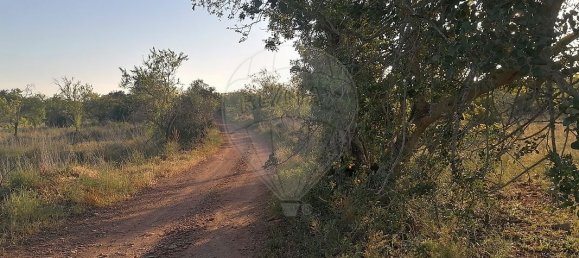 9000m² Land in Sao Bartolomeu de Messines, Portugal No. 38945 3