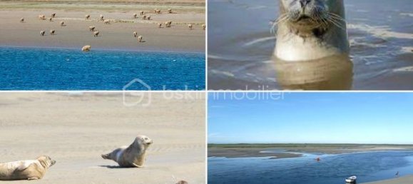 14 غرف نوم منزل في Abbeville, France رقم 42777 4