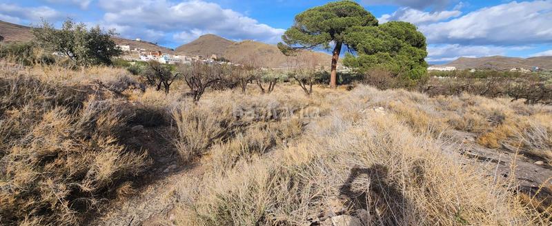 Terreno em Almeria, Spain 21225 m² N.º 246798
