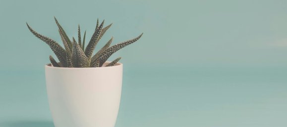  عقار تجاري في Rimini, Italy 77متر مربع رقم 99430 15