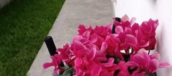 Casa de 3 divisões em Carrara, Italy N.º 51390 22