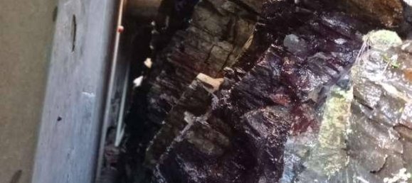 1 Schlafzimmer Wohnung in Curiglia con Monteviasco, Italy, Nr. 283471 9