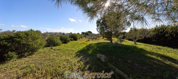 8-salle Villa à Gallipoli, Italy No. 232829 29