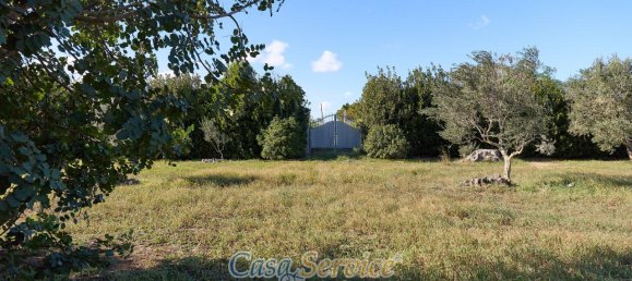 8-salle Villa à Gallipoli, Italy No. 232829 23