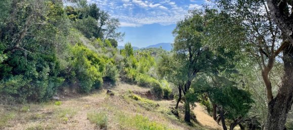 Grundstück in Corfu, Greece 8000m², Nr. 93772 19
