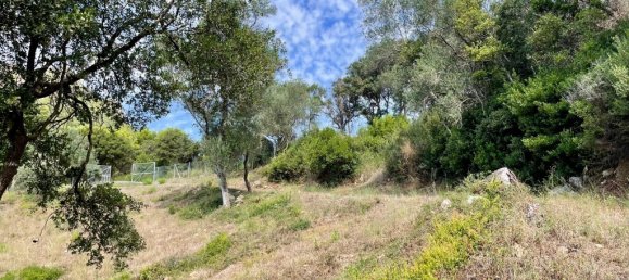 Grundstück in Corfu, Greece 8000m², Nr. 93772 2