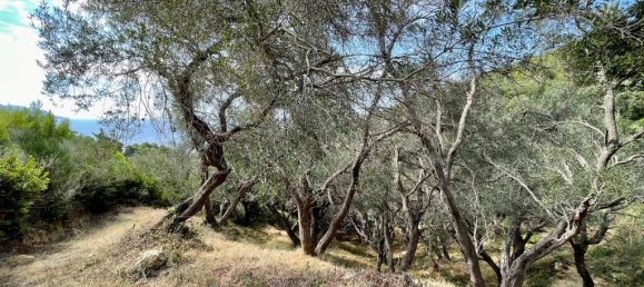 Grundstück in Corfu, Greece 8000m², Nr. 93772 25