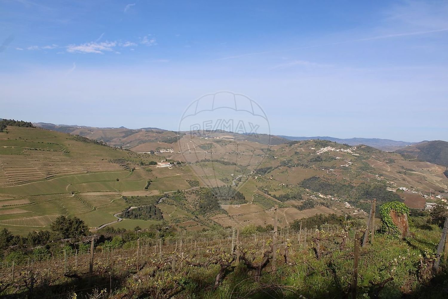  Land in Sabrosa, Portugal No. 248599