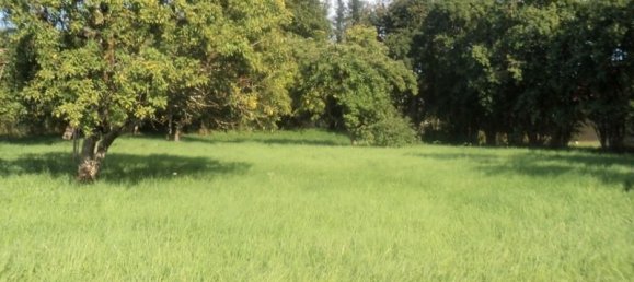 Terreno em Thaon-les-Vosges, France 850 m² N.º 58310 4