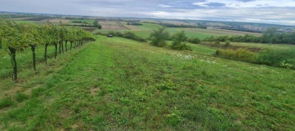  Land in Matzen-Raggendorf, Austria No. 247675 3