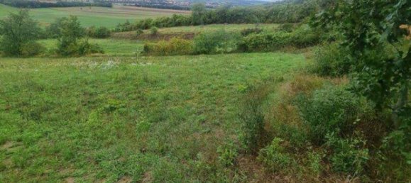  Land in Matzen-Raggendorf, Austria No. 247675 5