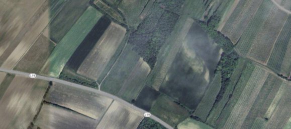  Land in Matzen-Raggendorf, Austria No. 247675 7