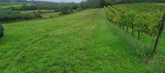  Land in Matzen-Raggendorf, Austria No. 247675 4