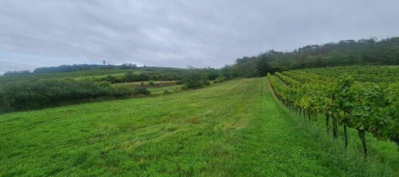  Land in Matzen-Raggendorf, Austria No. 247675 2