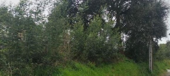 4400m² Land in Santo Tirso, Portugal No. 146819 15