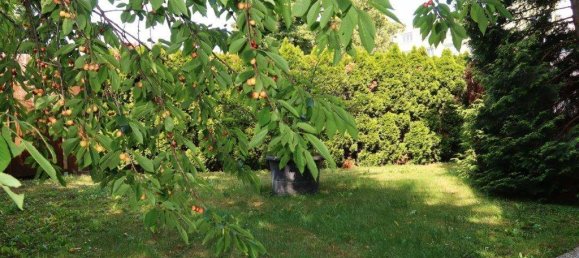 2 rooms Apartment in Wiener Neustadt, Austria No. 158209 5