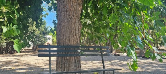 Gewerbliche Immobilie in Sanlucar de Barrameda, Spain 913m², Nr. 173596 35