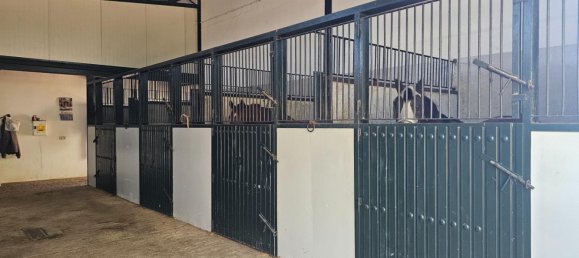 Gewerbliche Immobilie in Sanlucar de Barrameda, Spain 913m², Nr. 173596 28