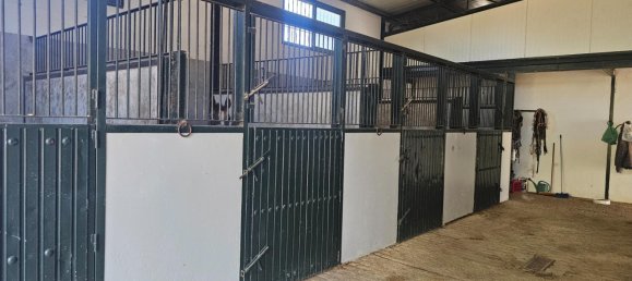 Gewerbliche Immobilie in Sanlucar de Barrameda, Spain 913m², Nr. 173596 27