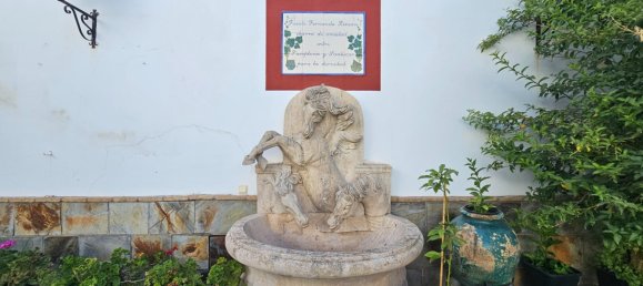 Gewerbliche Immobilie in Sanlucar de Barrameda, Spain 913m², Nr. 173596 19