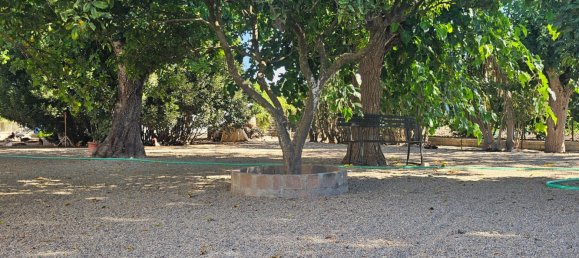 Gewerbliche Immobilie in Sanlucar de Barrameda, Spain 913m², Nr. 173596 37