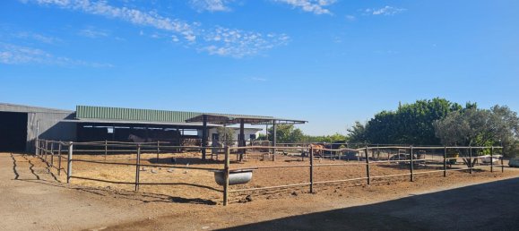 Gewerbliche Immobilie in Sanlucar de Barrameda, Spain 913m², Nr. 173596 29