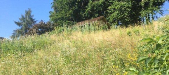 1136m² Land in Stattegg, Austria No. 158066 2