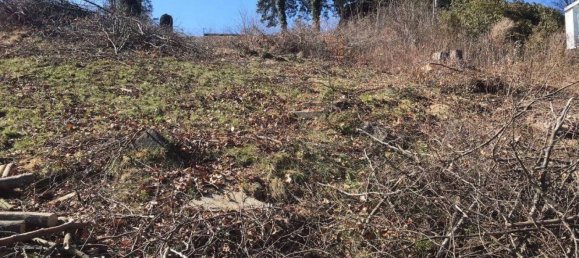 1136m² Land in Stattegg, Austria No. 158066 6