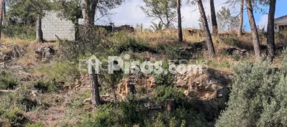 Terrain à Corbera de Llobregat, Spain No. 179163 15