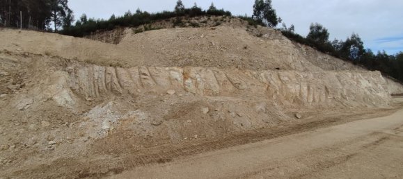 Terreno em Amarante, Portugal N.º 45745 10