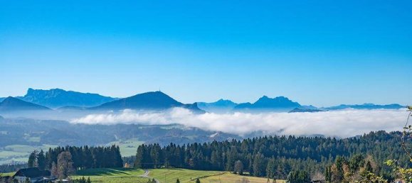 Terrain à Thalgau, Austria No. 63490 4